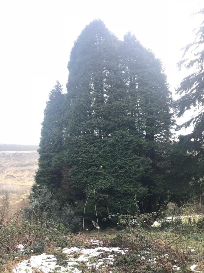 Ballymacdoe Casa de Férias *